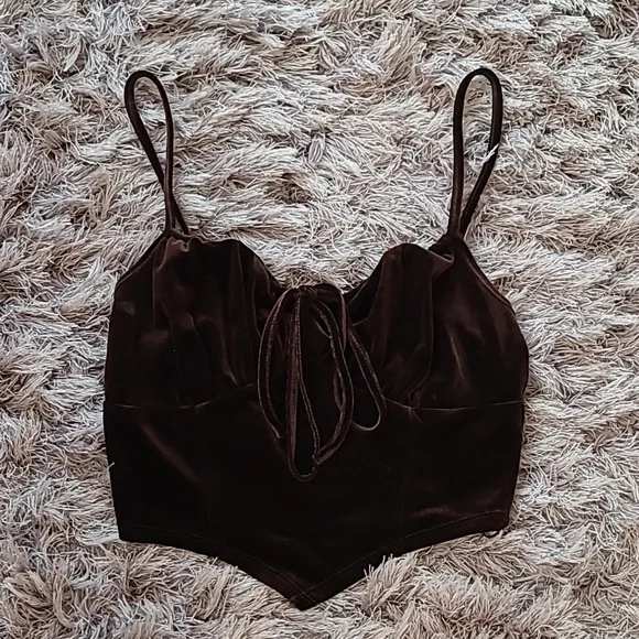 Bear Dance Brown Velvet Crop Top - Picture 1 of 3
